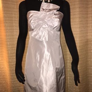 J Crew Silver Shimmer Party Dress